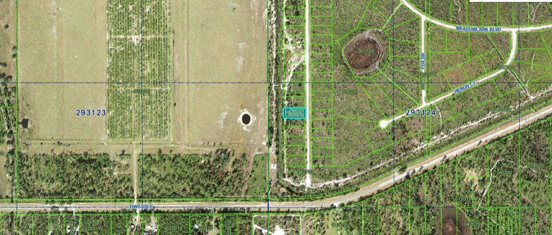1251 Pinnata Drive, FL