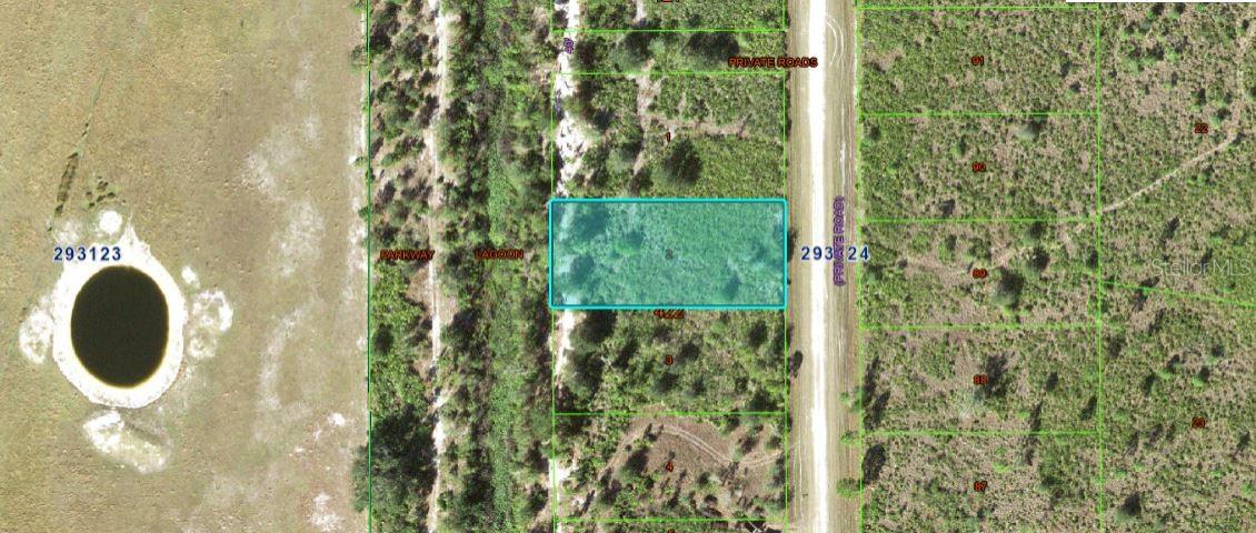 1251 Pinnata Drive, FL