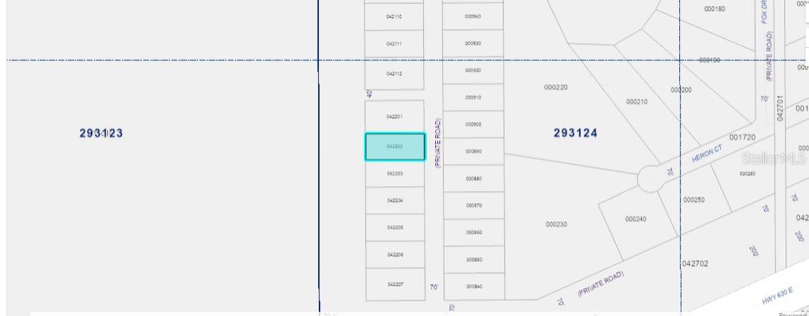 1251 Pinnata Drive, FL