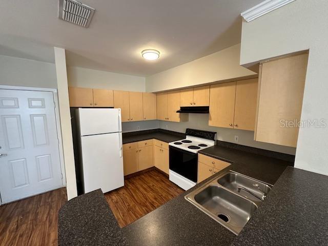 727 Siena Palm Drive, FL