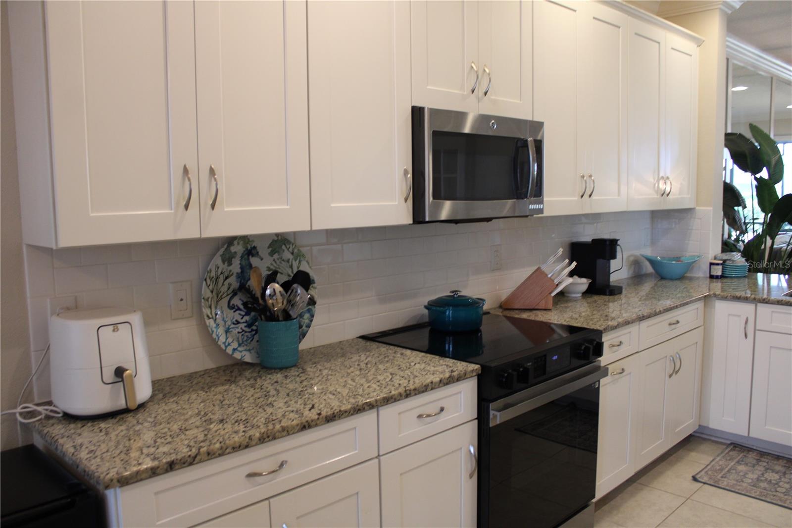13711 Messina Loop, FL