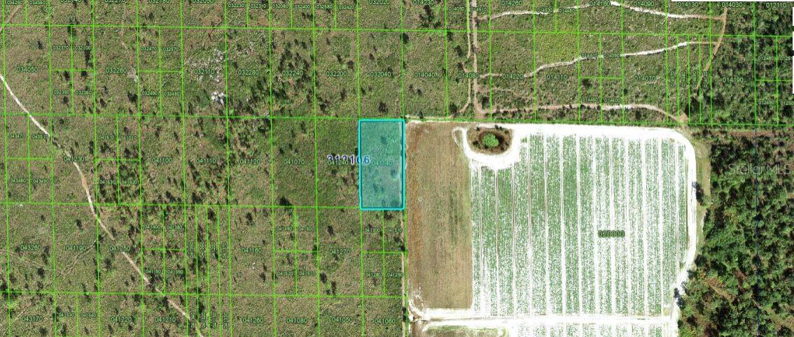Grape Hammock Rd, FL