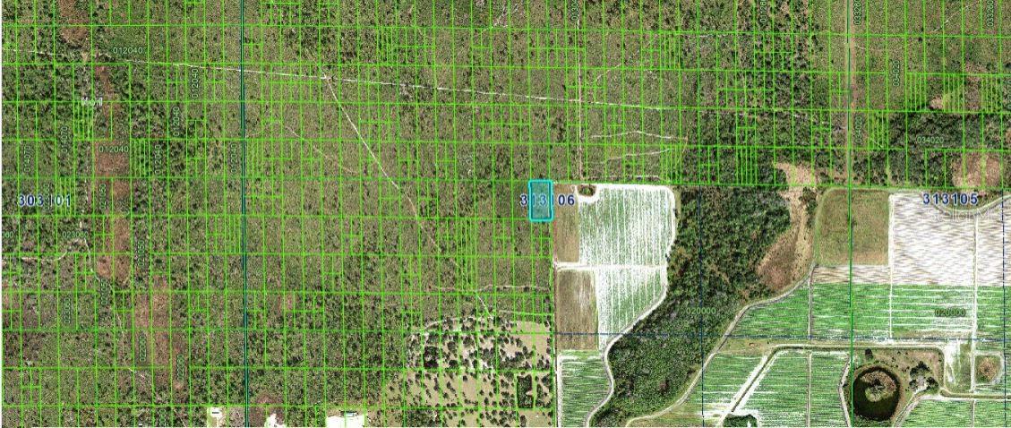 Grape Hammock Rd, FL