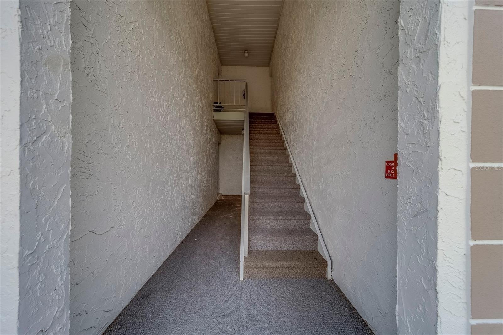 361 Mcmullen Booth Road, FL