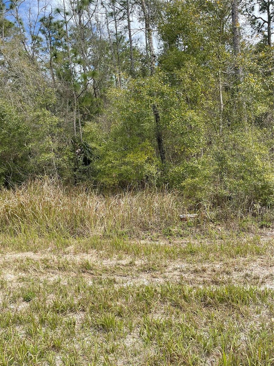 14139 Pigeon Road, FL