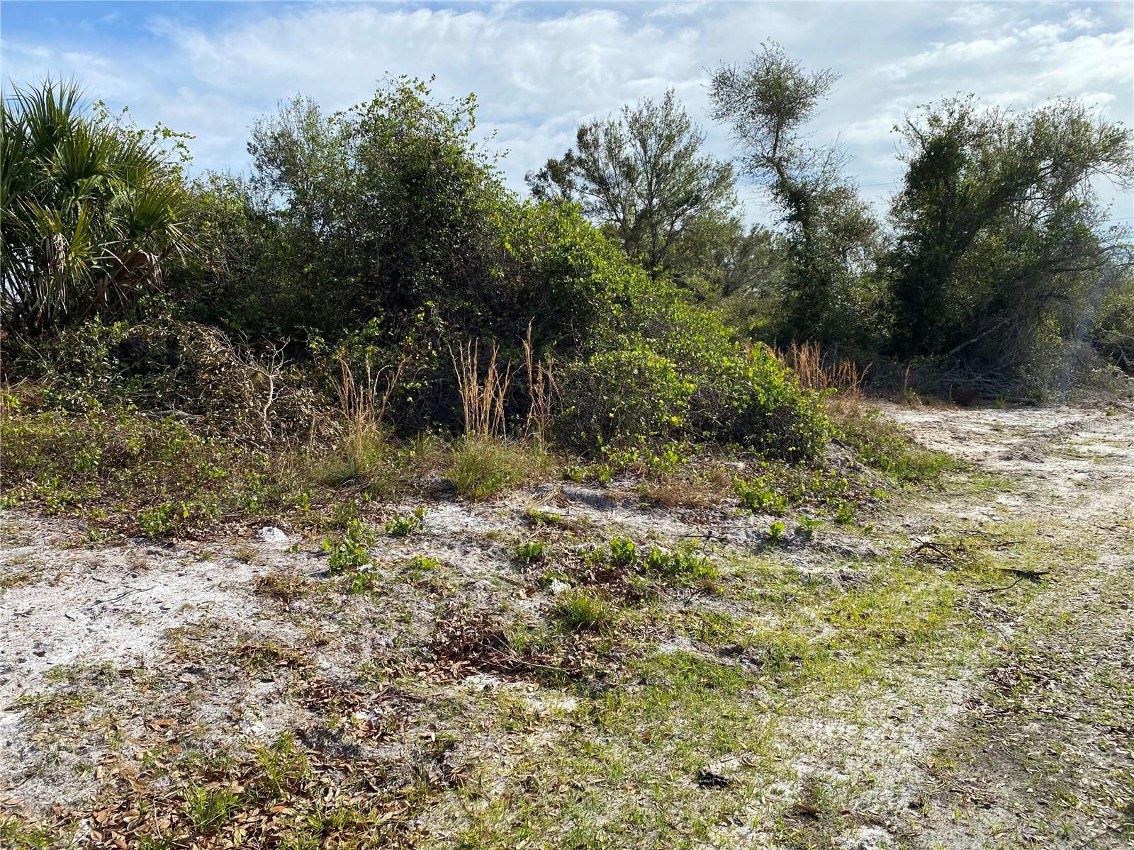 1616/1999 Coastal/Broadpoint Drive, FL