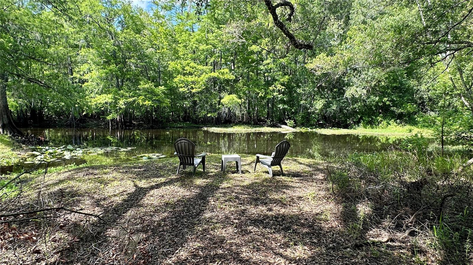 29133 Lawton Drive, FL