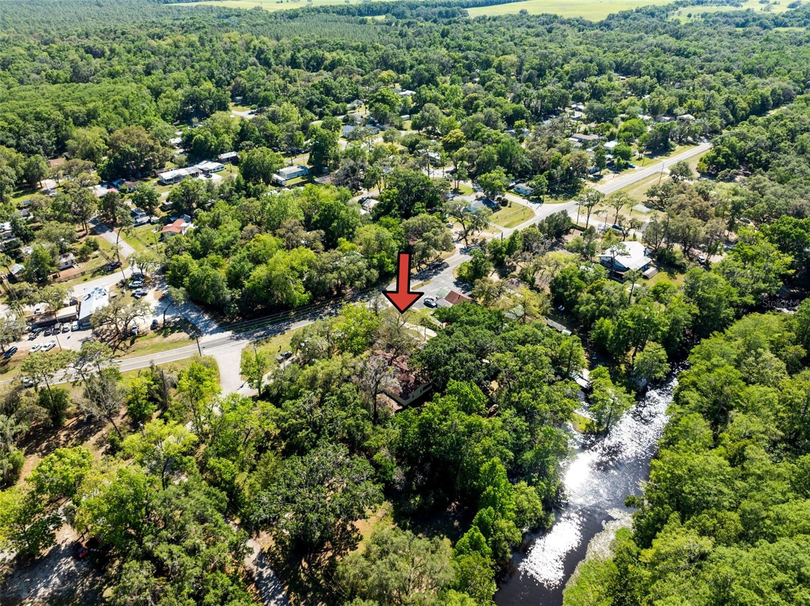 29133 Lawton Drive, FL