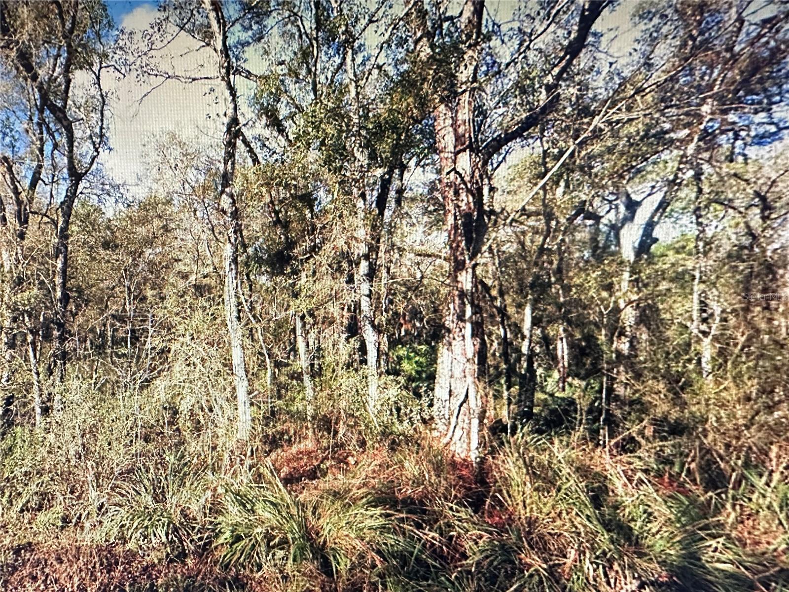 Table Rock Drive, FL