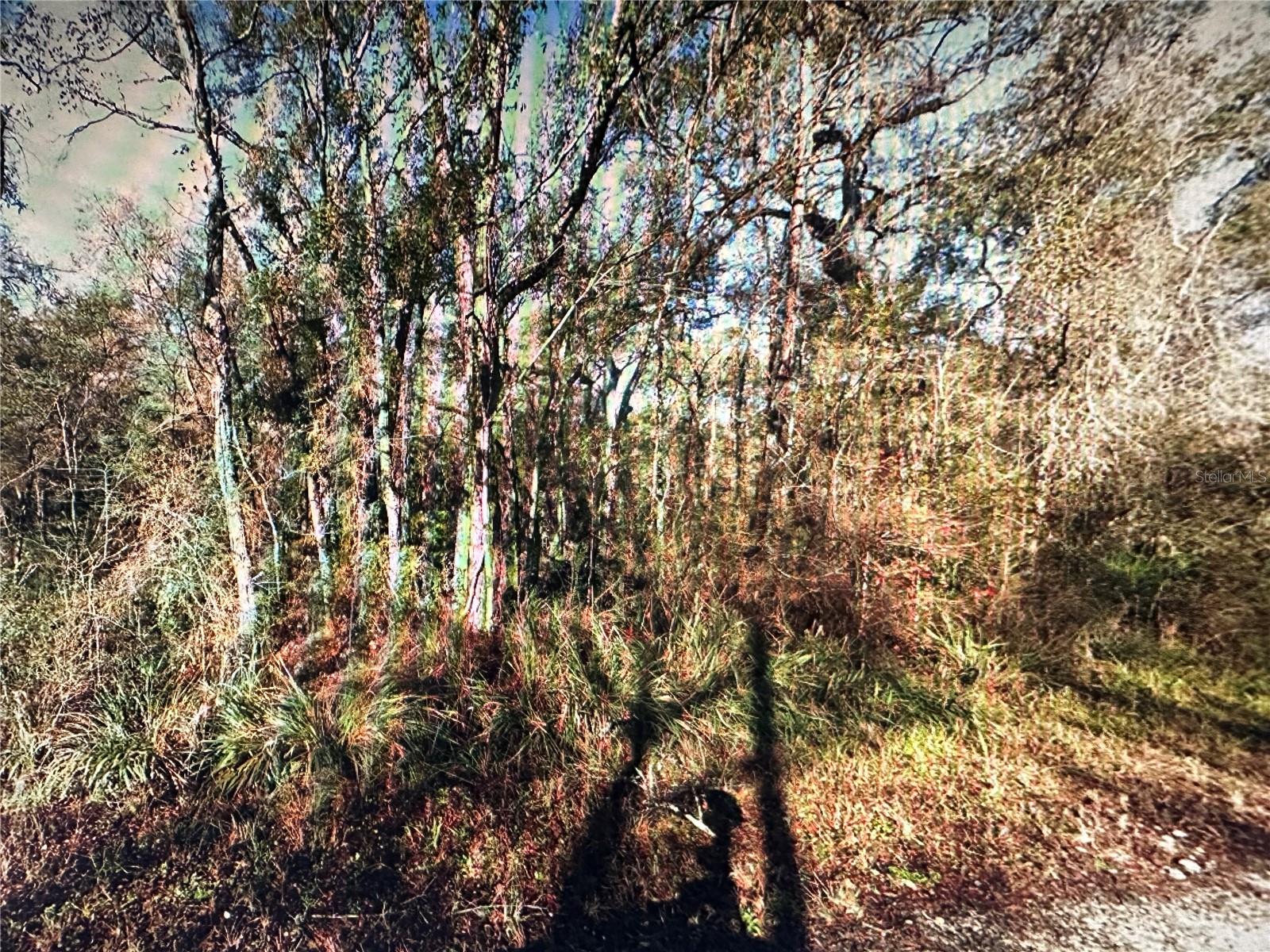 Table Rock Drive, FL