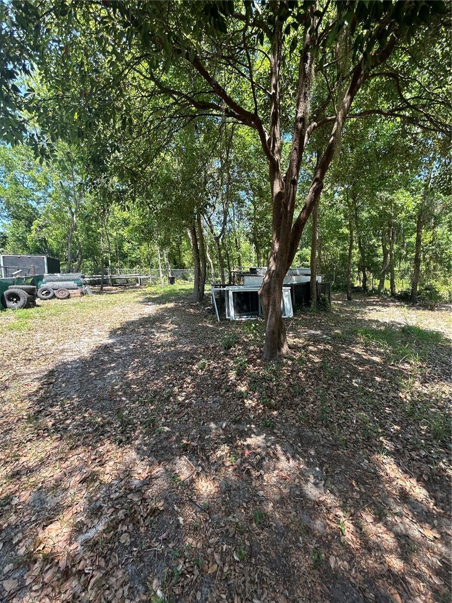 1735 Grayson Drive, FL