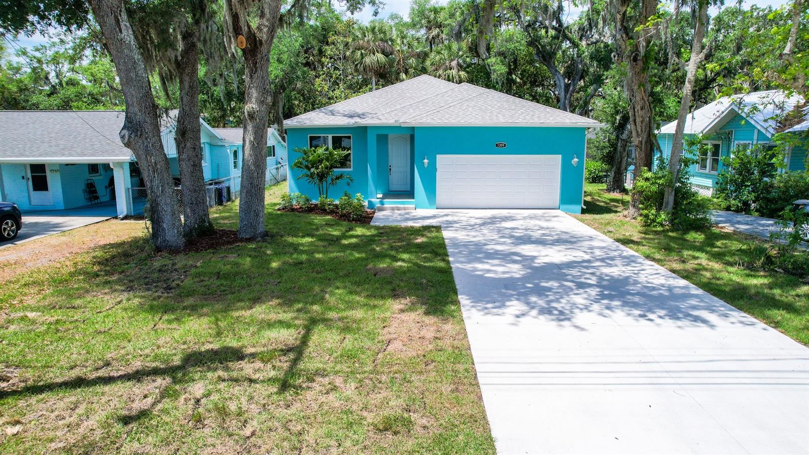 1209 Palmetto Street, FL