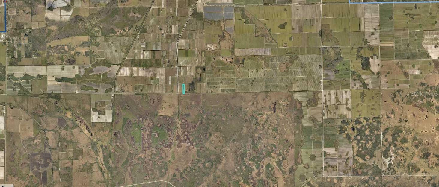 6340 Sears Road, FL