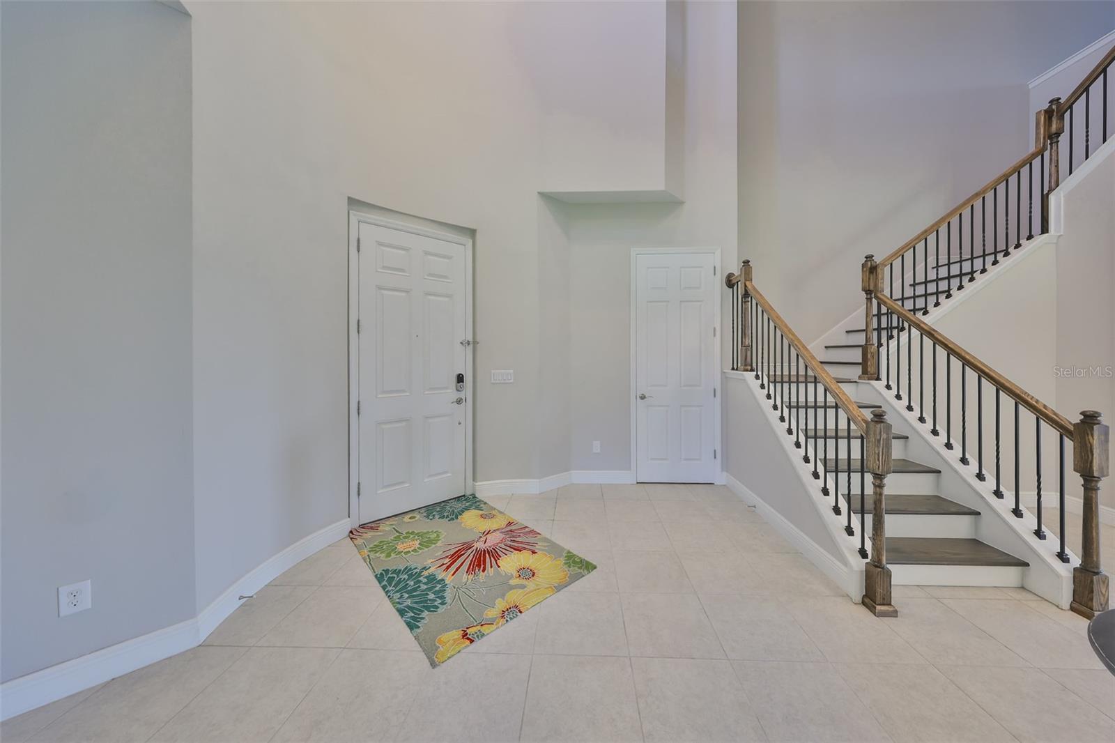 11909 Climbing Fern Avenue, FL