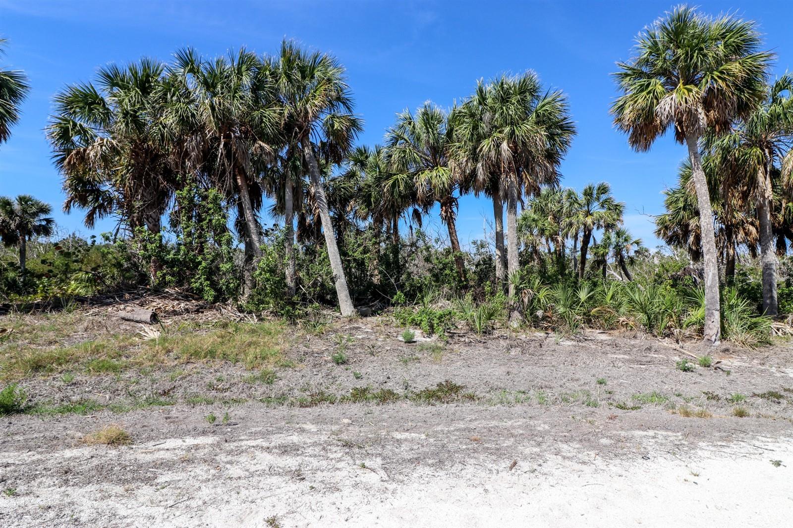 6160 Rum Cove Drive, FL