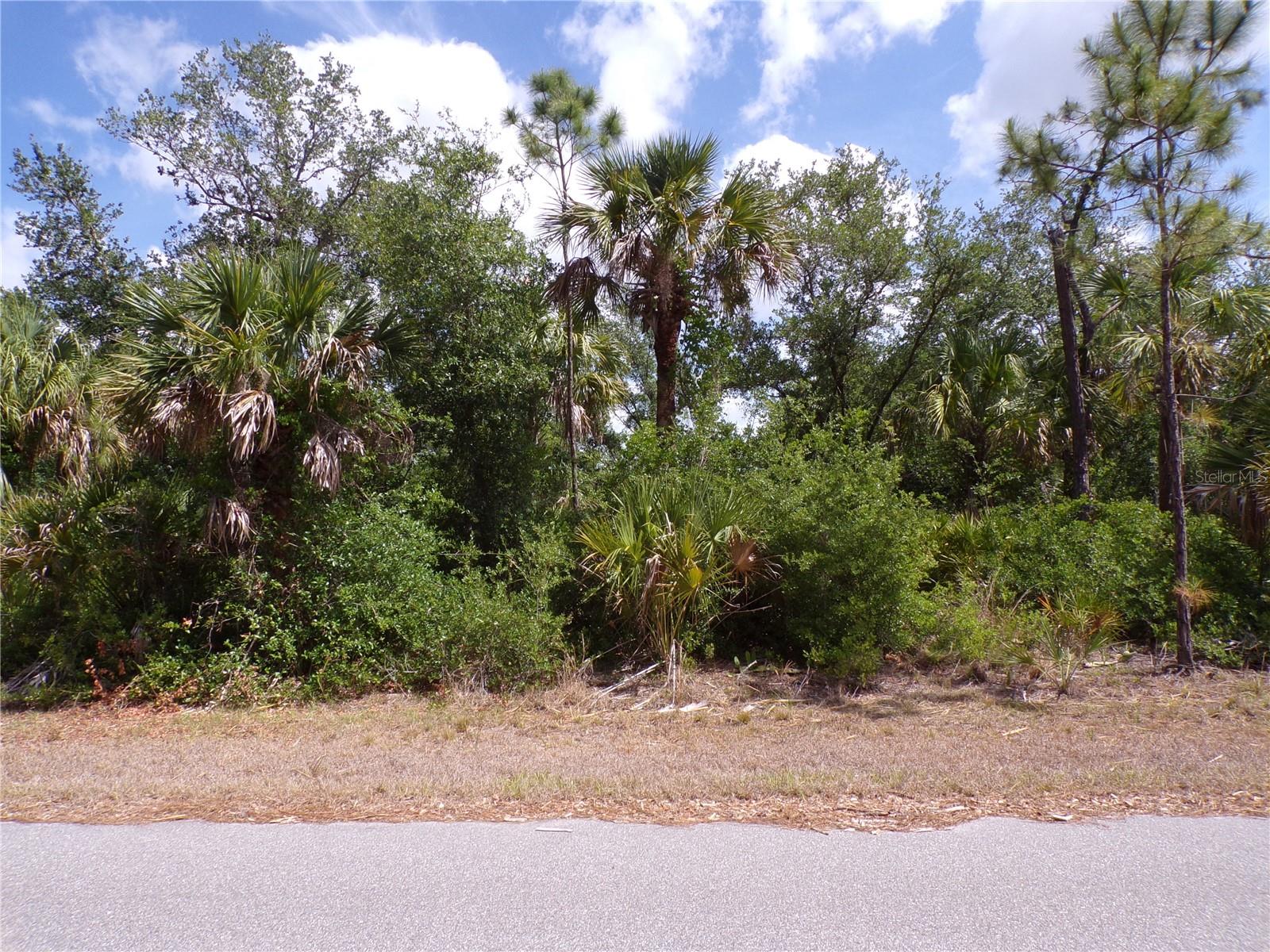 14448 Mcmillin Avenue, FL