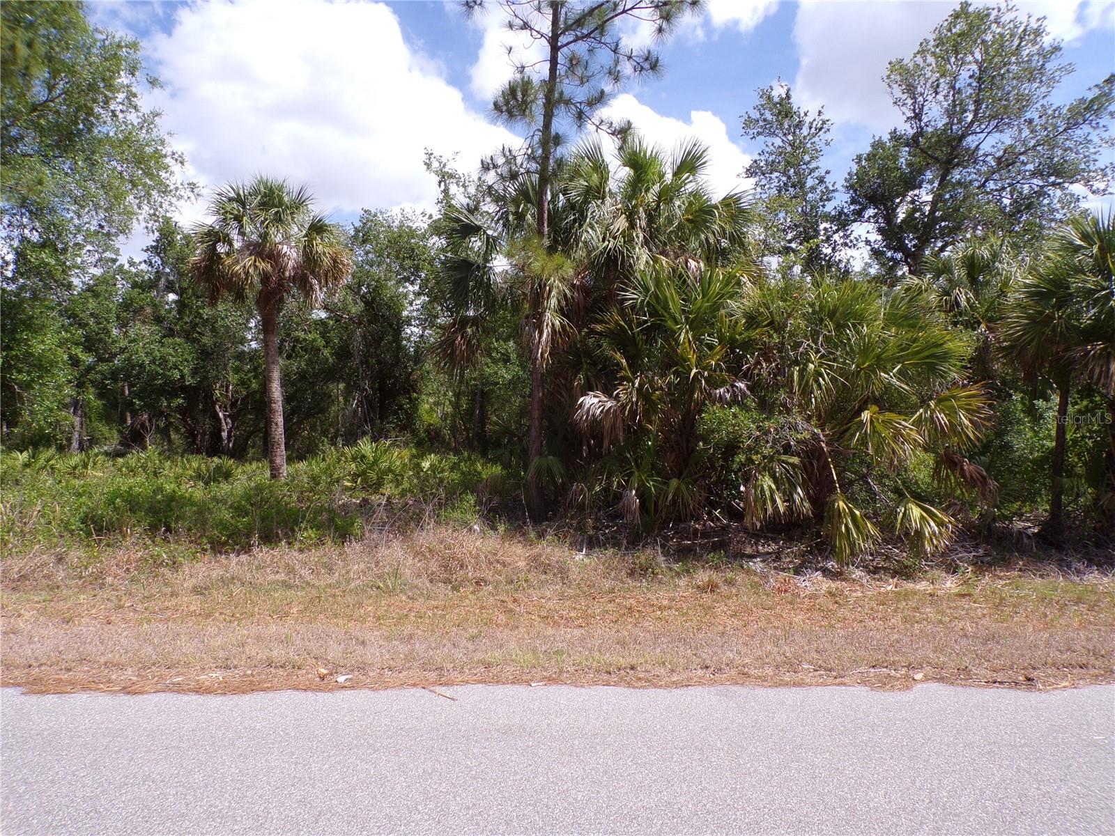 14448 Mcmillin Avenue, FL