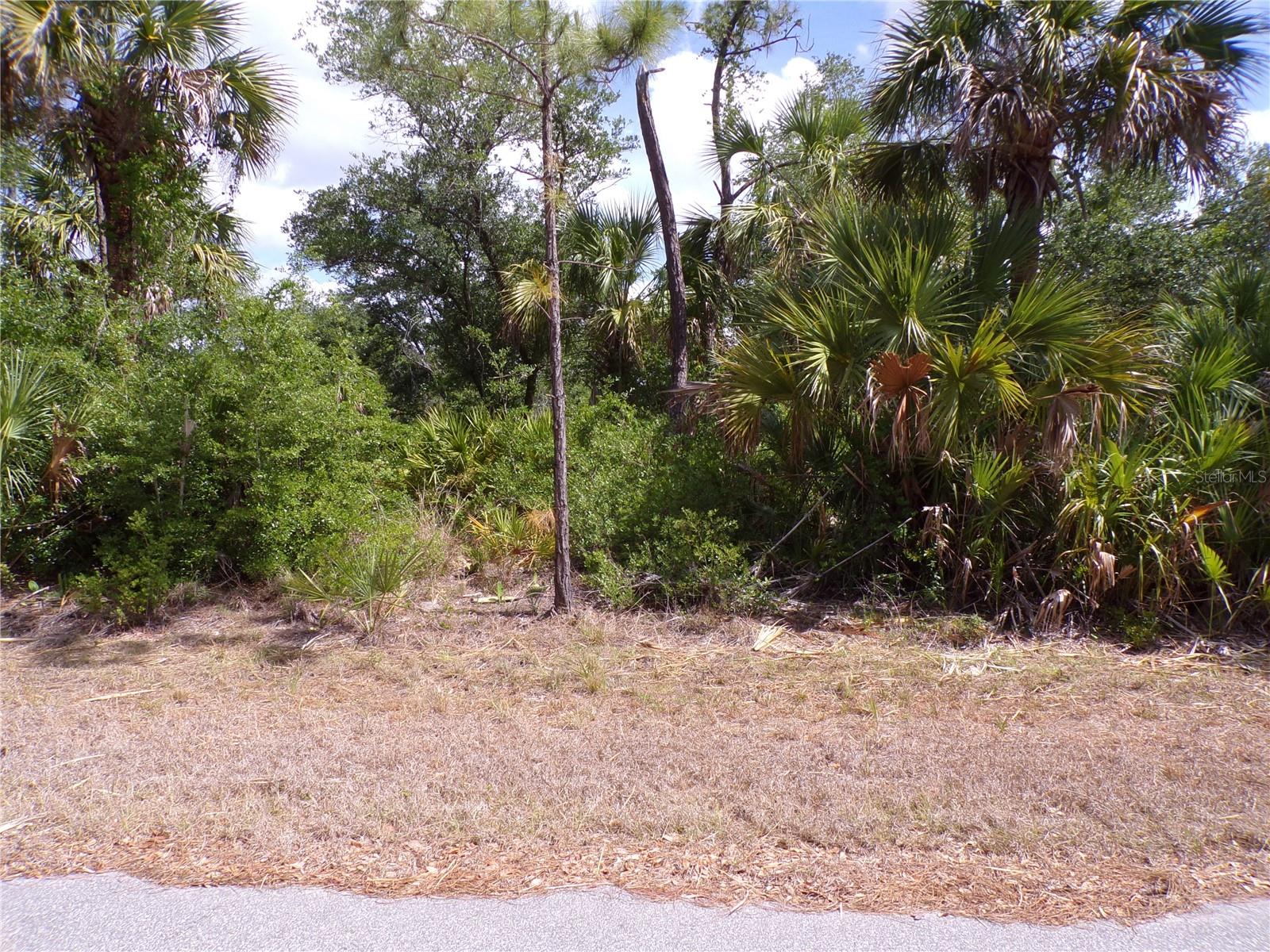 14448 Mcmillin Avenue, FL