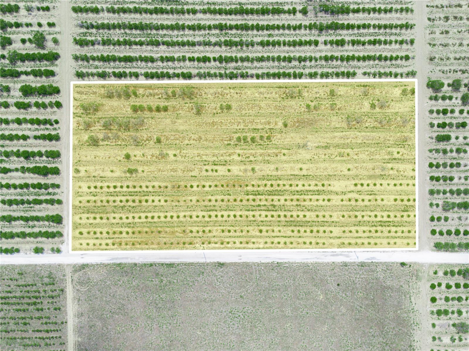 Gilbert Road, FL