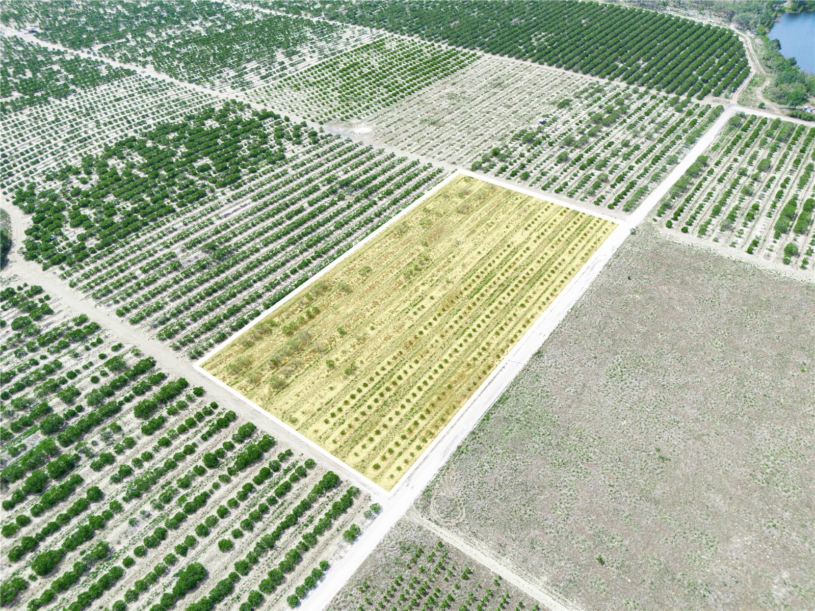 Gilbert Road, FL