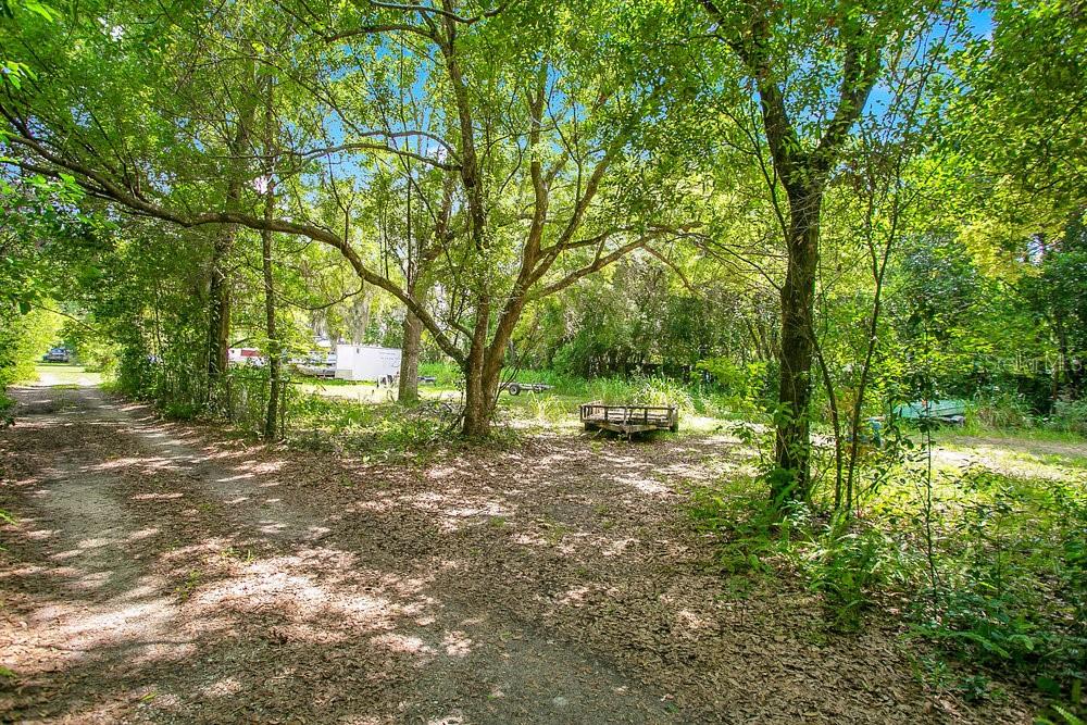 8816 Trevarthon Road, FL