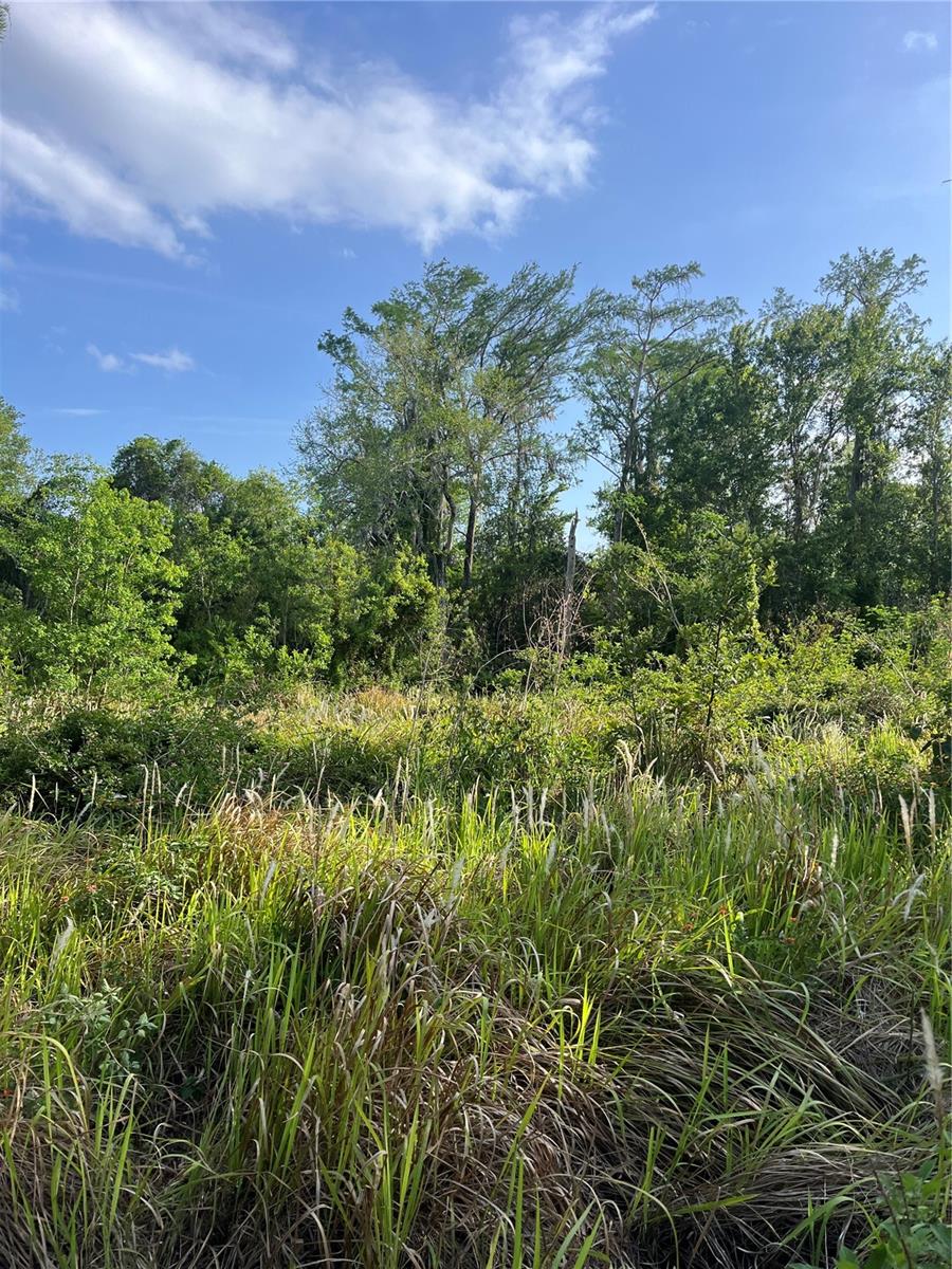 Harvest Lane, FL