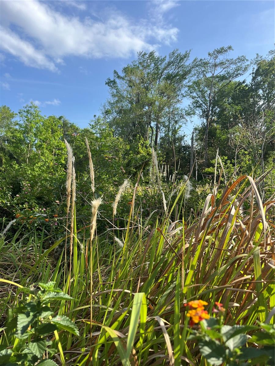 Harvest Lane, FL
