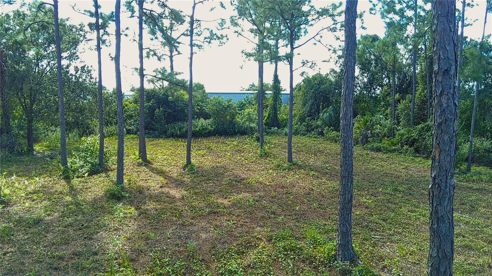 4685 Riverside Drive, FL