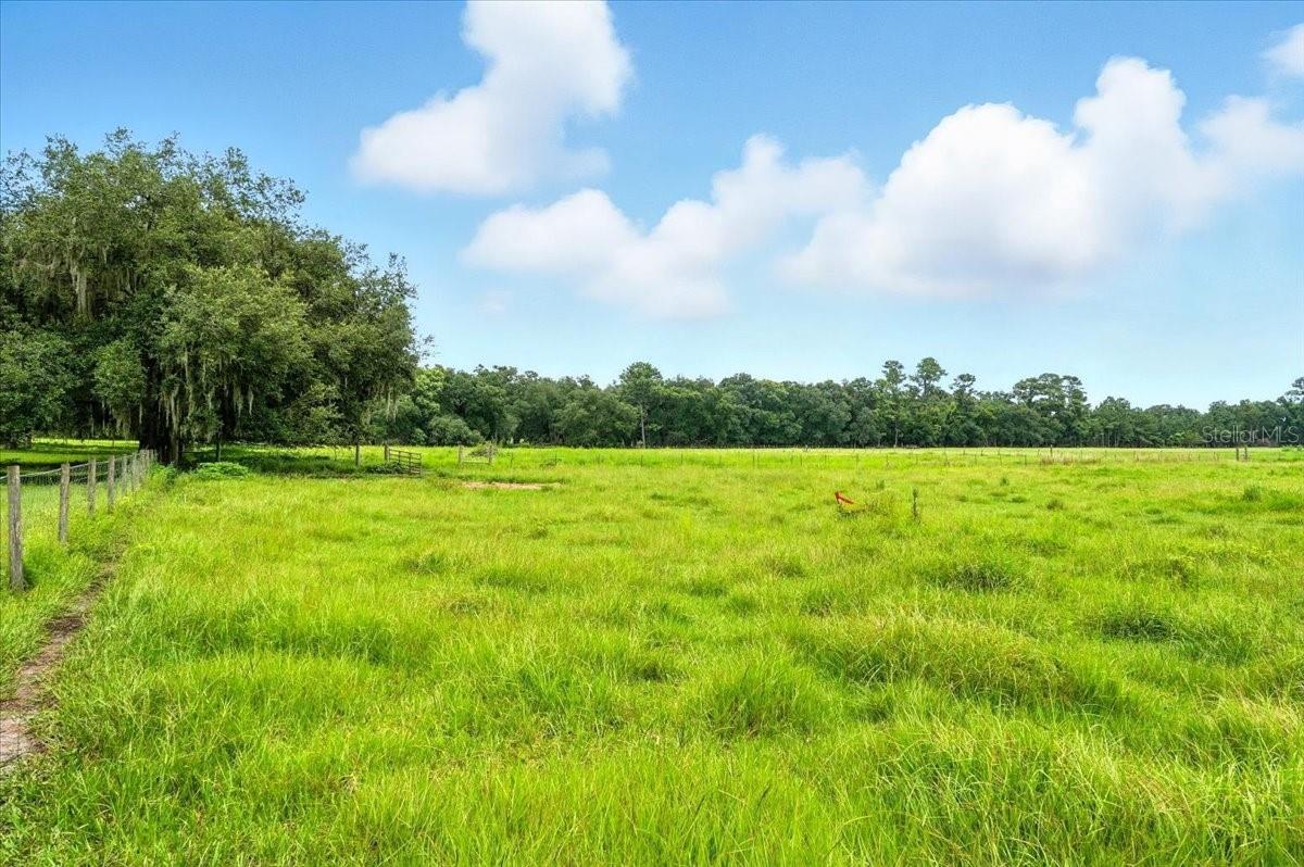 39410 Sparkman Road, FL