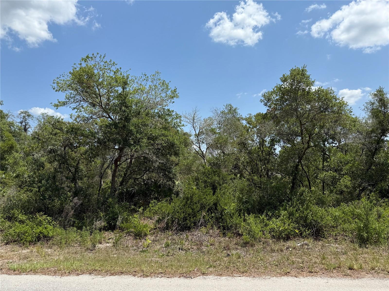 Tbd Fisher Loop, FL