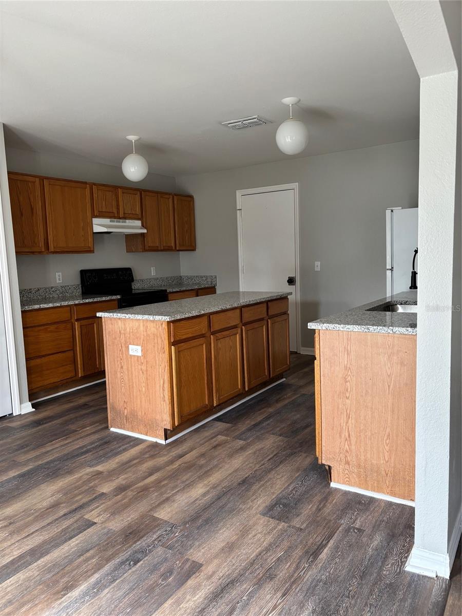 11102 Summer Star Drive, FL