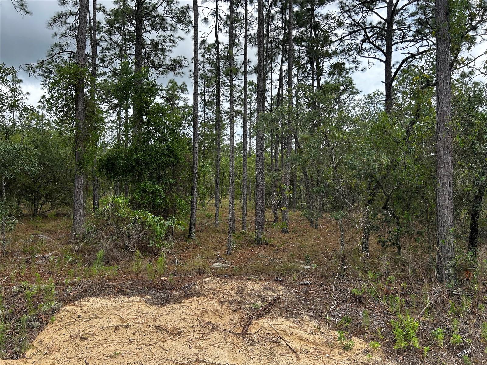 Tbd Foxglove Lane, FL