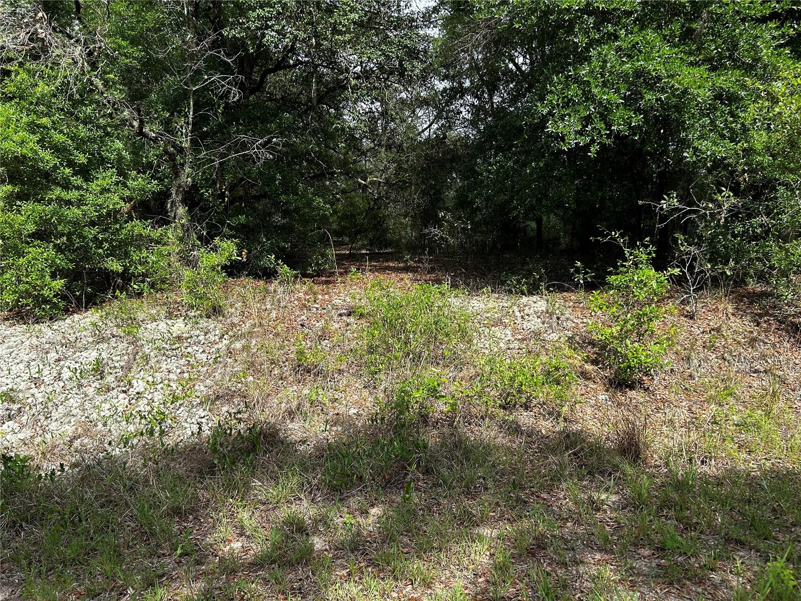 Tbd Uplands Avenue, FL