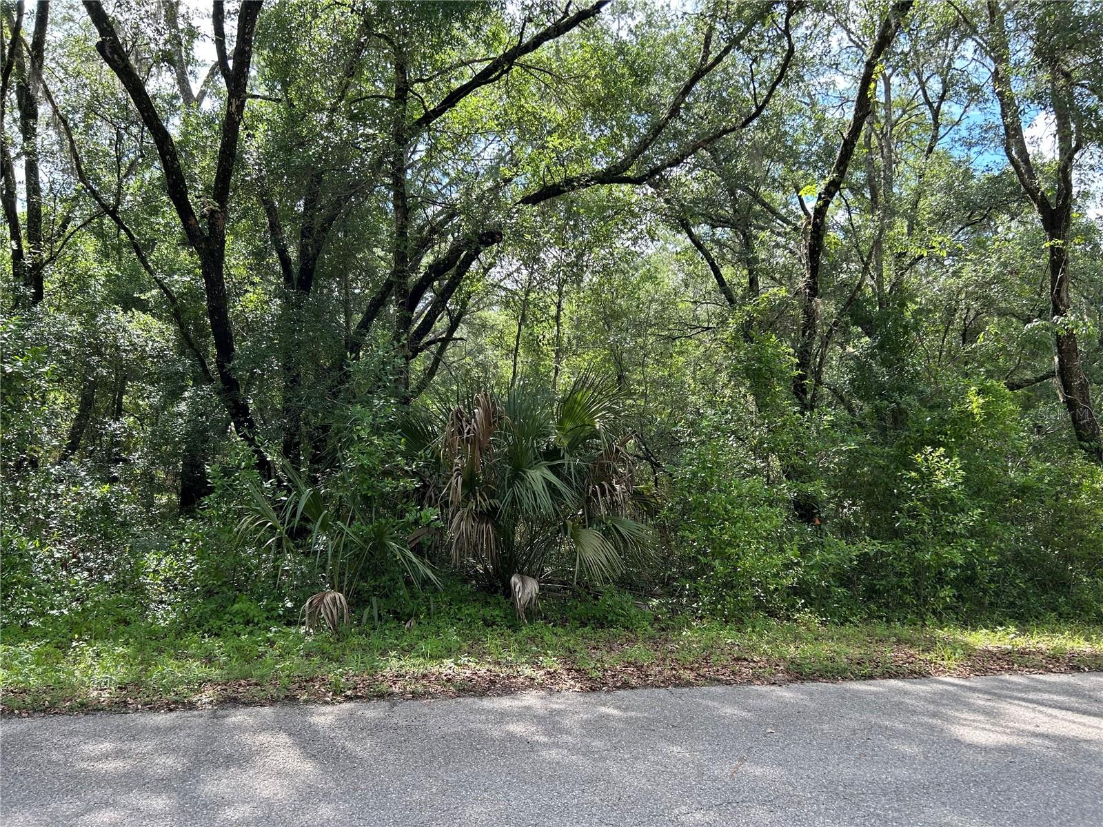 Tbd Uplands Avenue, FL