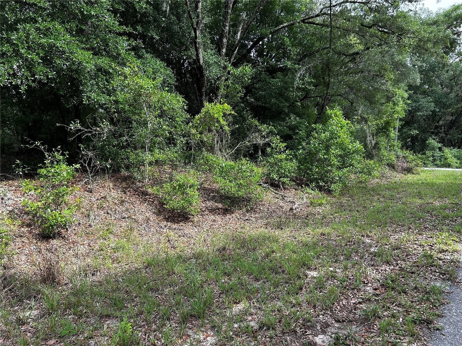 Tbd Uplands Avenue, FL