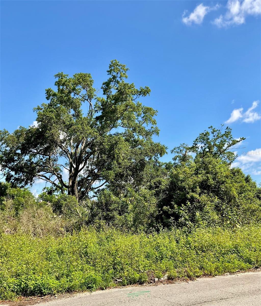Paige Avenue, FL