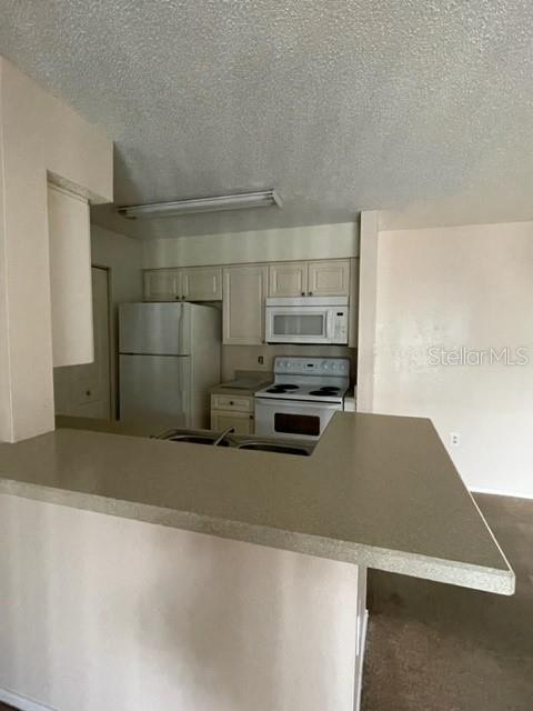 1221 Bermuda Lakes Lane, FL