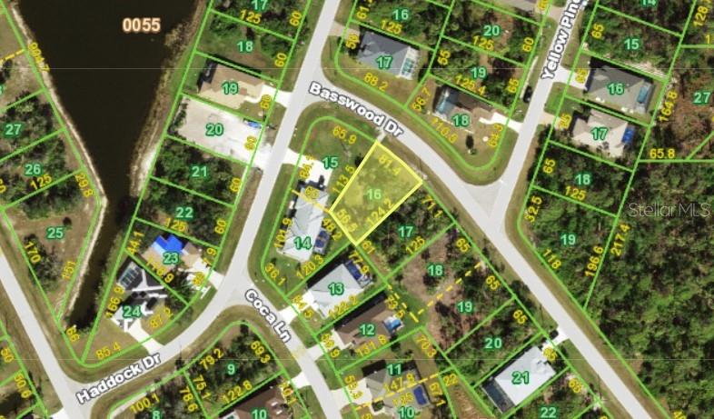 116 Basswood Drive, FL