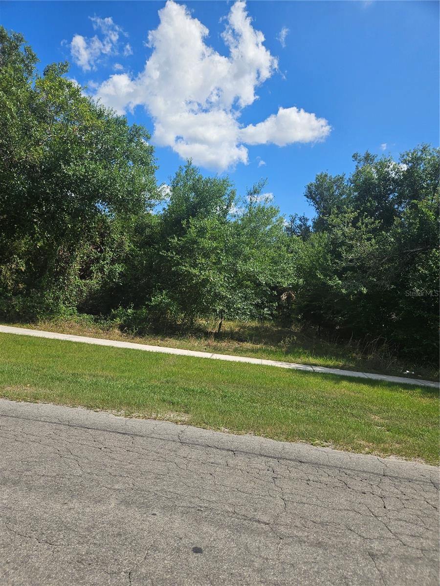 Gibson Street, FL