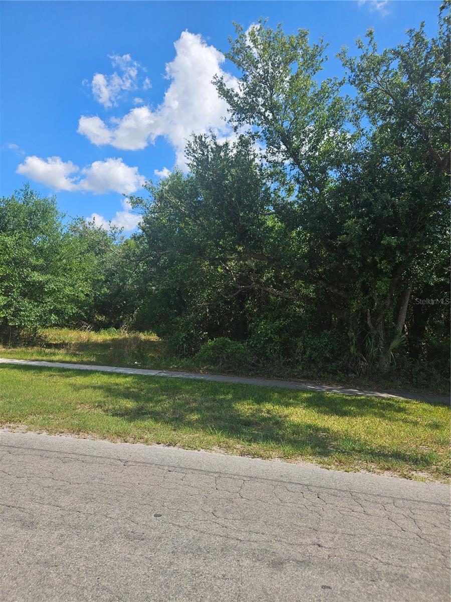 Gibson Street, FL