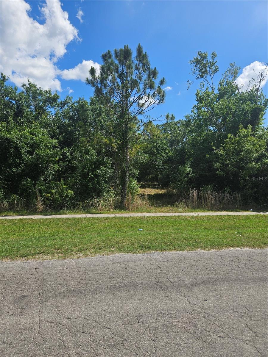 Gibson Street, FL