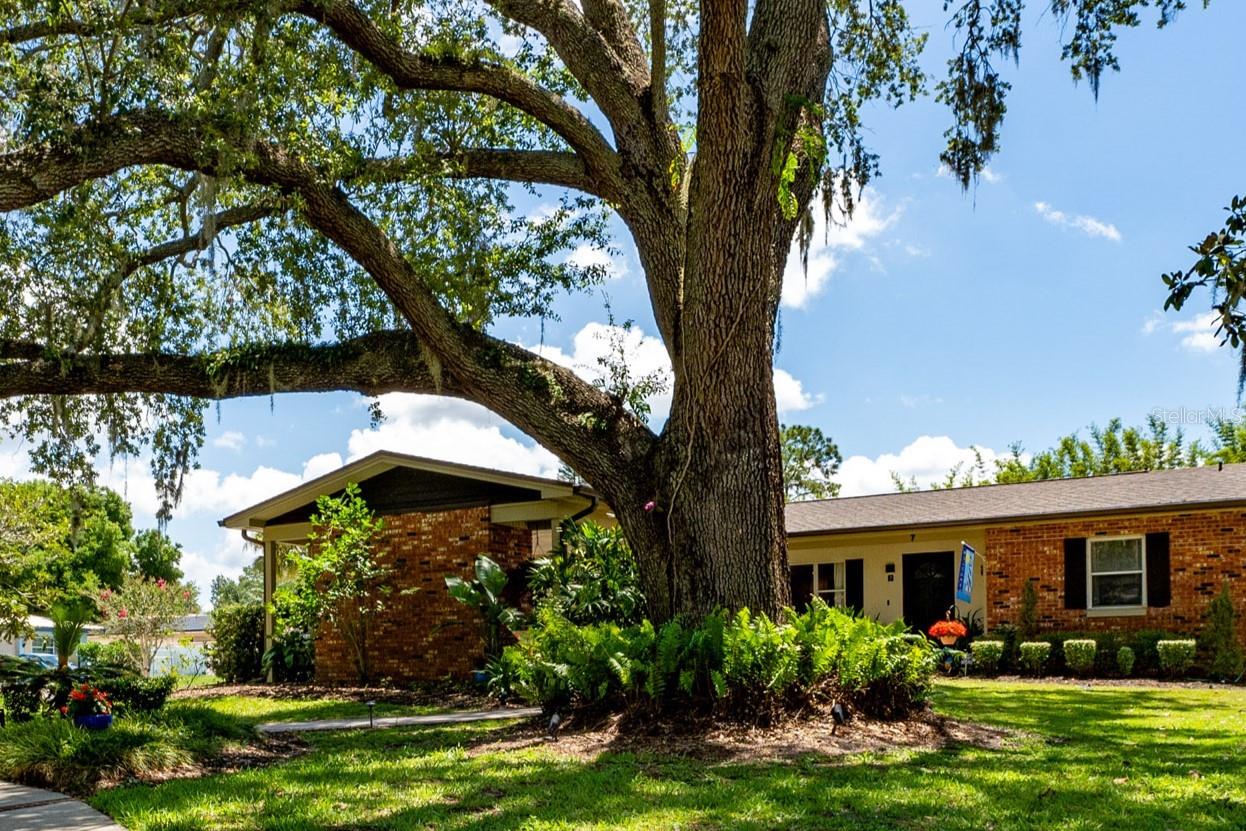 7 Westchester Drive, FL