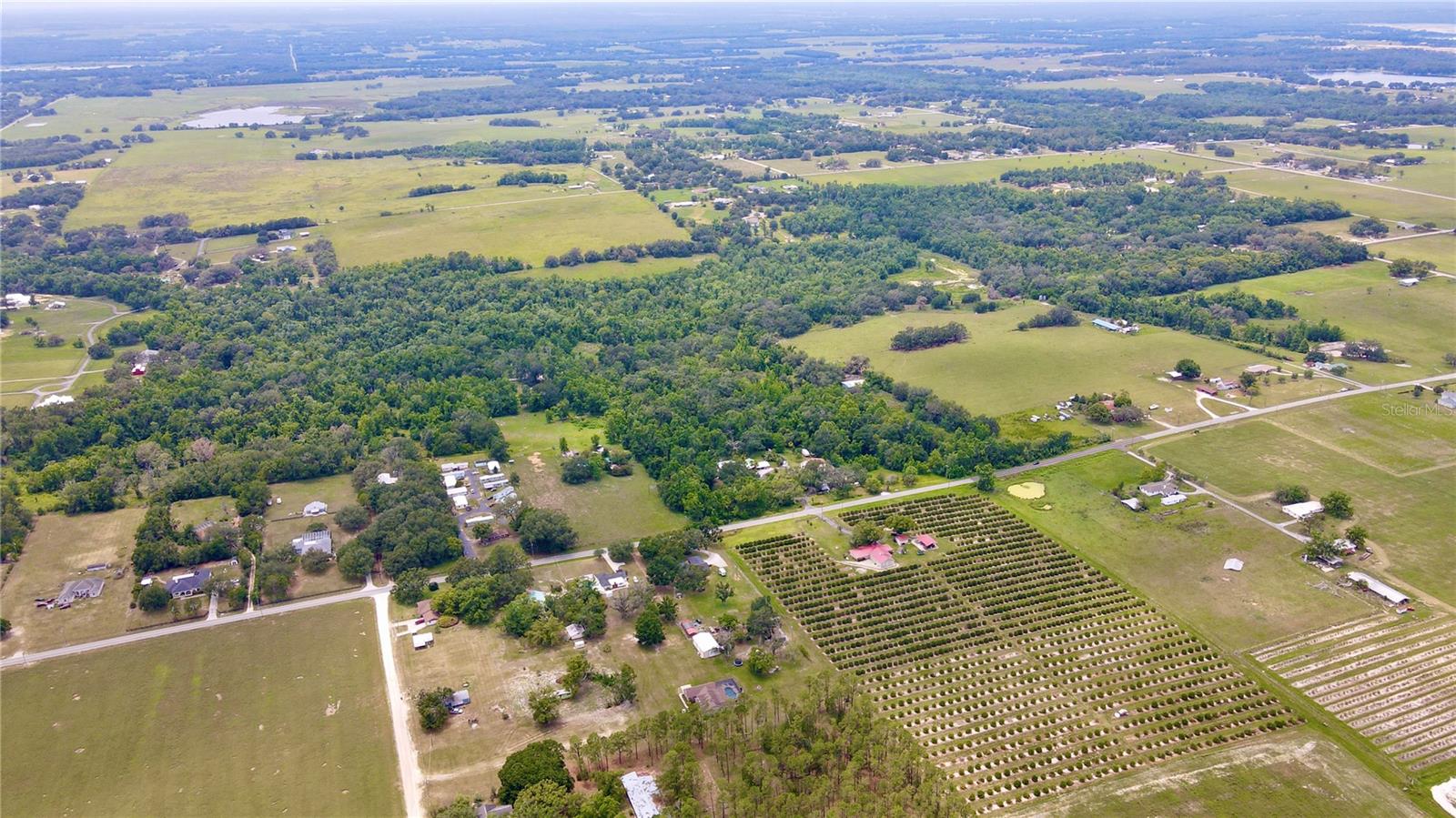 14409 Curley Road, FL
