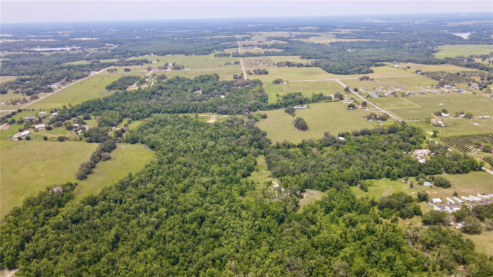 14409 Curley Road, FL