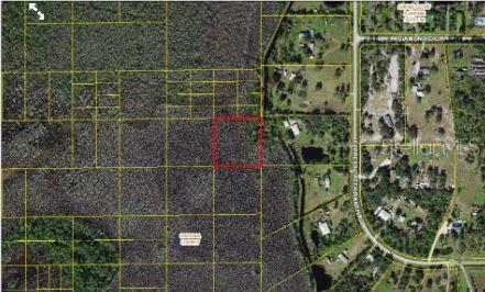 Holopaw Groves Road, FL