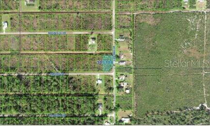202 Orchid Drive, FL
