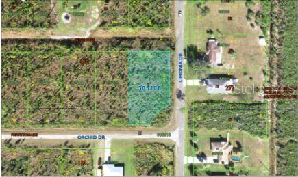 202 Orchid Drive, FL