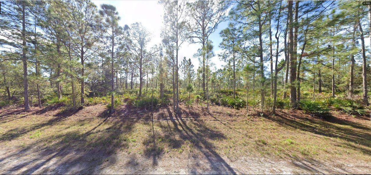 713 Alba Drive, FL