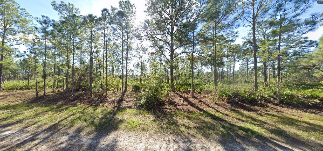710 Portulaca Drive, FL