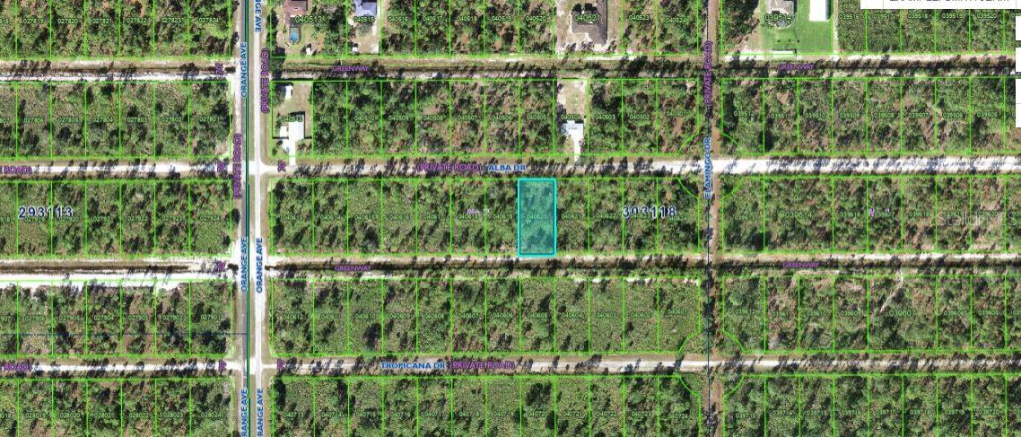 709 Alba Drive, FL